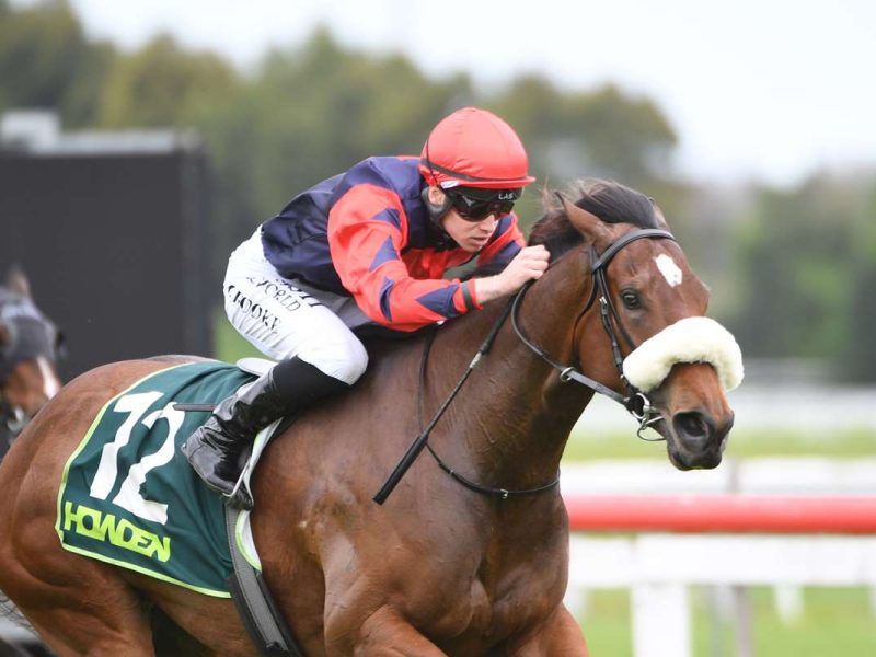 Transcend-Kenton-Wright-Race-Images-800x