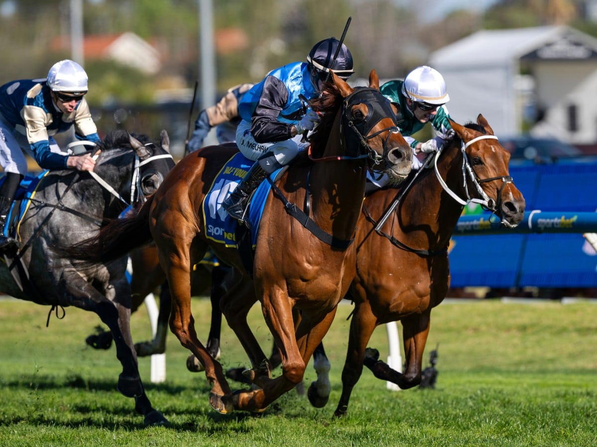 Kim Barr Racing Melbourne Cup Archives – The Straight