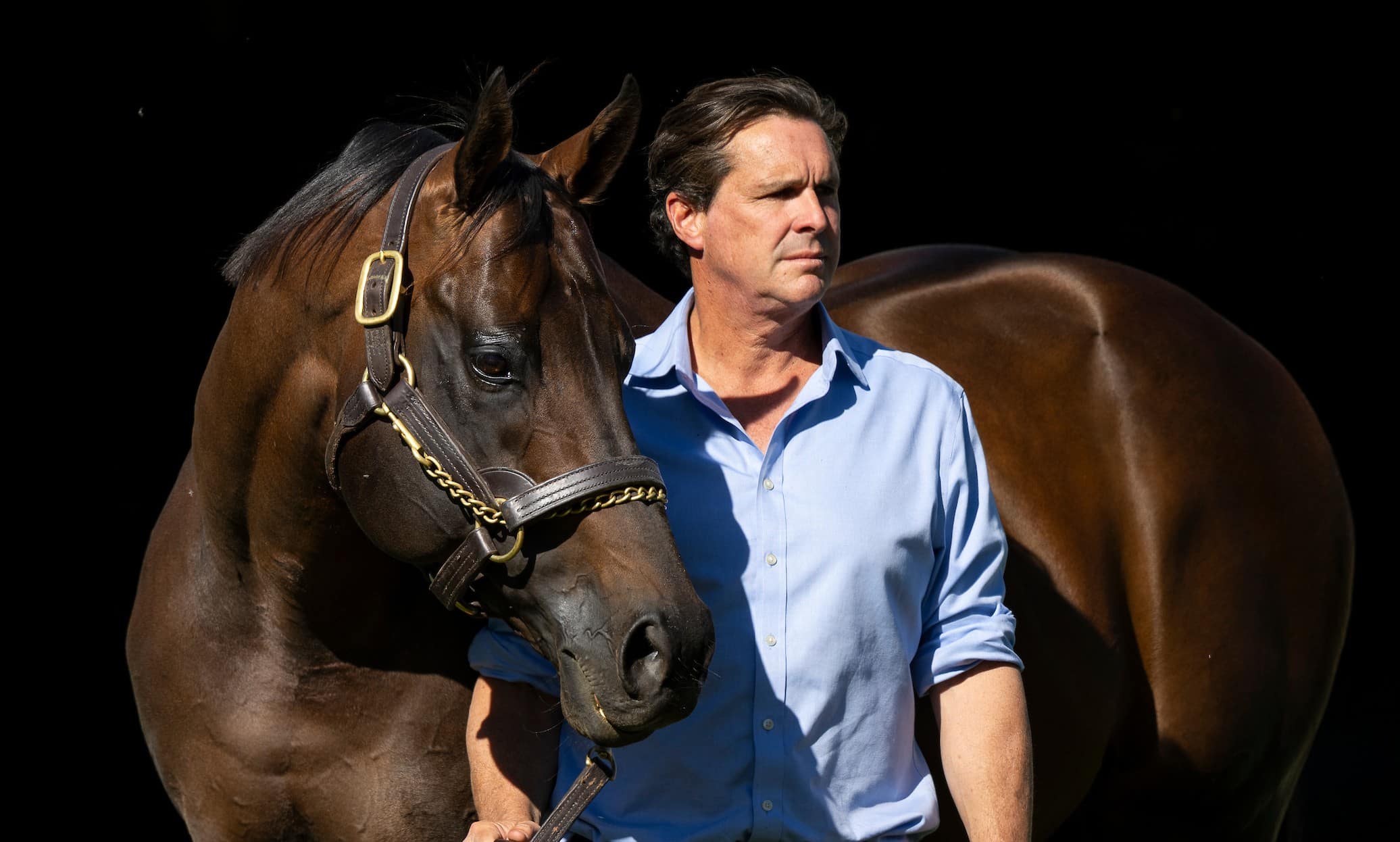 ‘Clarity and confidence’: Breeders urge Pattern resolution – The Straight