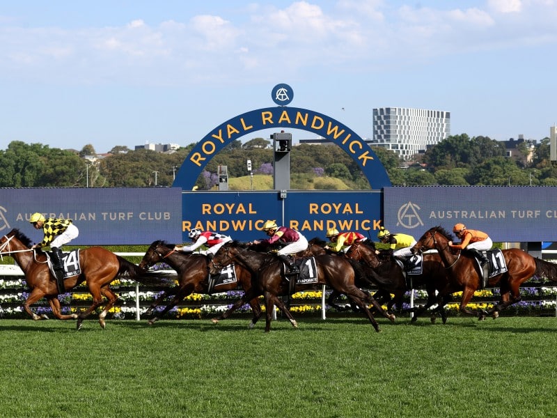 Sydney Racing: Golden Eagle Day