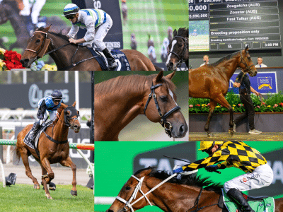 Top Fvie Australian Horses