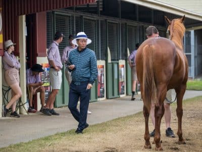 Magic Millions Gold Coast Yearling Sales - Day 3