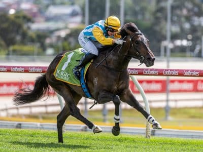 Aristopolos, a $60,000 2025 yearling purchase,