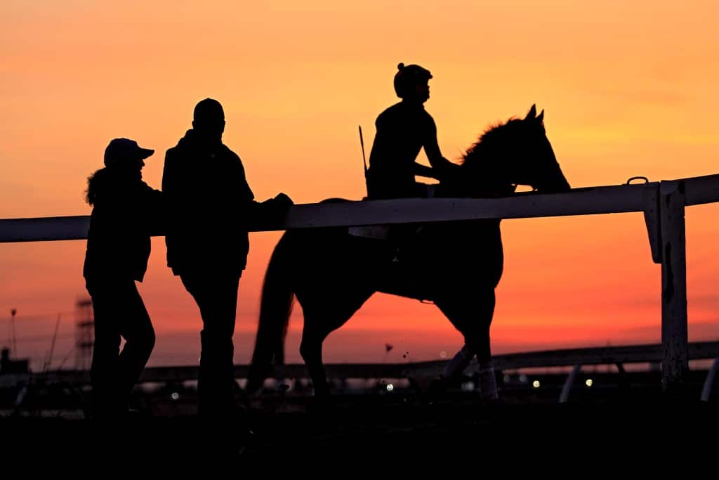 Generic horses - Strangles