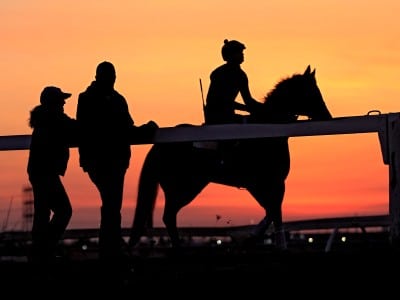 Generic horses - Strangles