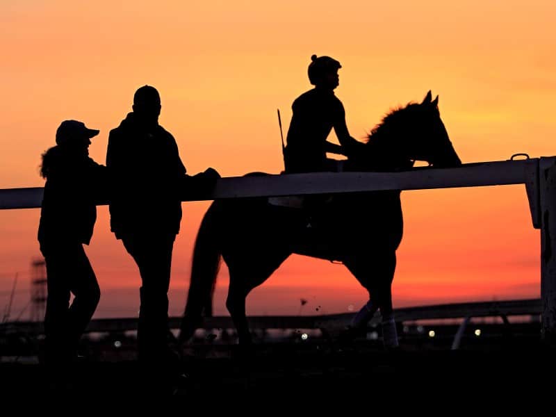 Generic horses - Strangles