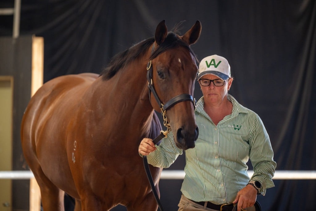 Capitalist x Speedonova