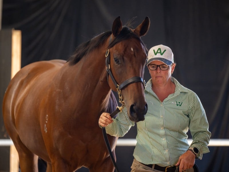 Capitalist x Speedonova