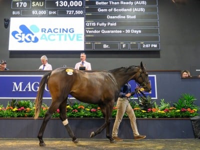 The top lot by Better Than Ready