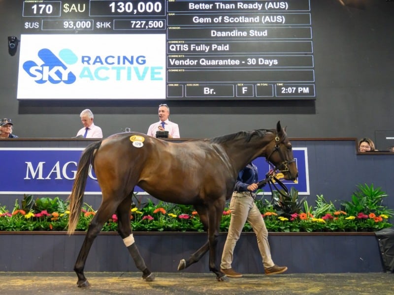 The top lot by Better Than Ready