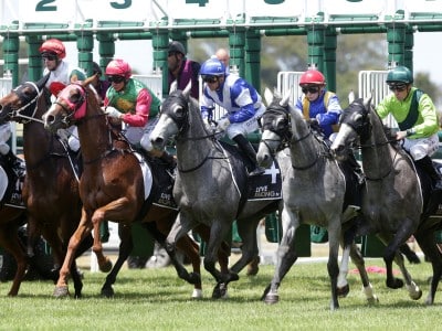 New Zealand has imposed a ban on Australian foals