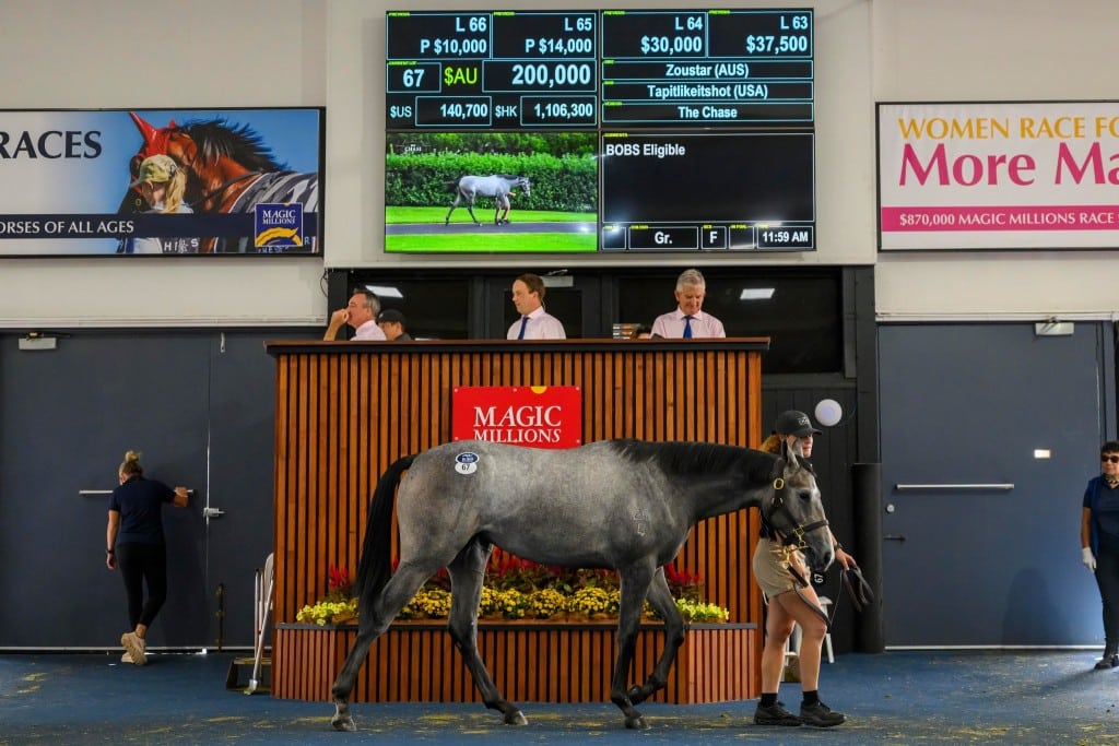 The Zoustar filly bound for the Philippines