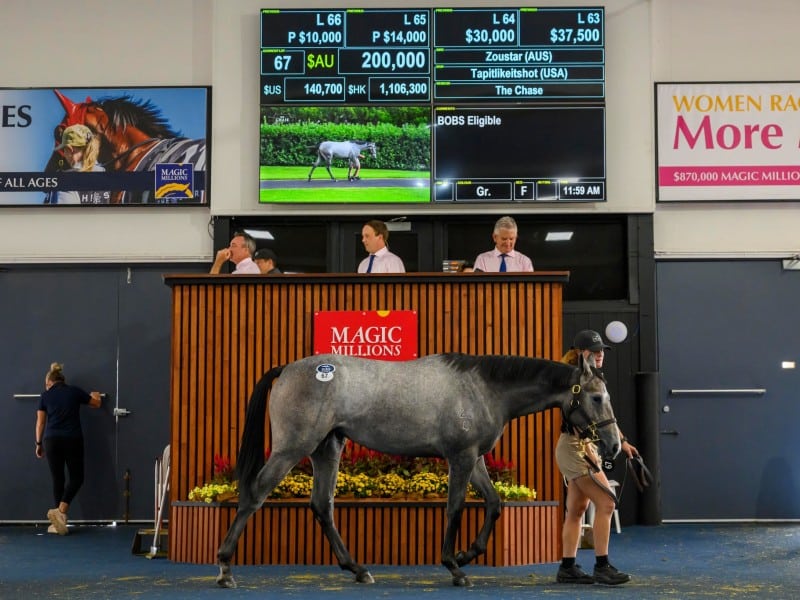 The Zoustar filly bound for the Philippines