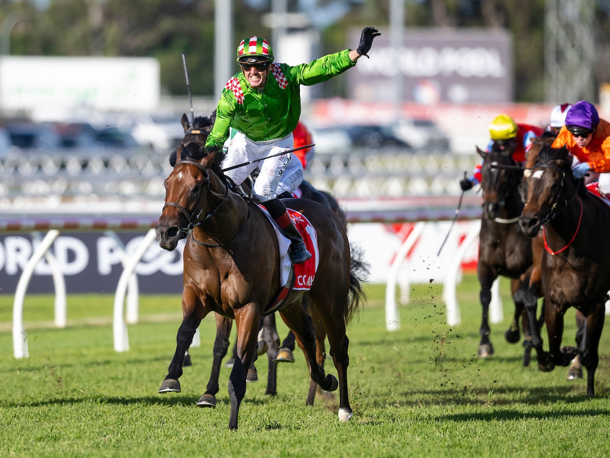 JJ Atkins winner Cool Archie to stand at Newhaven Park – The Straight