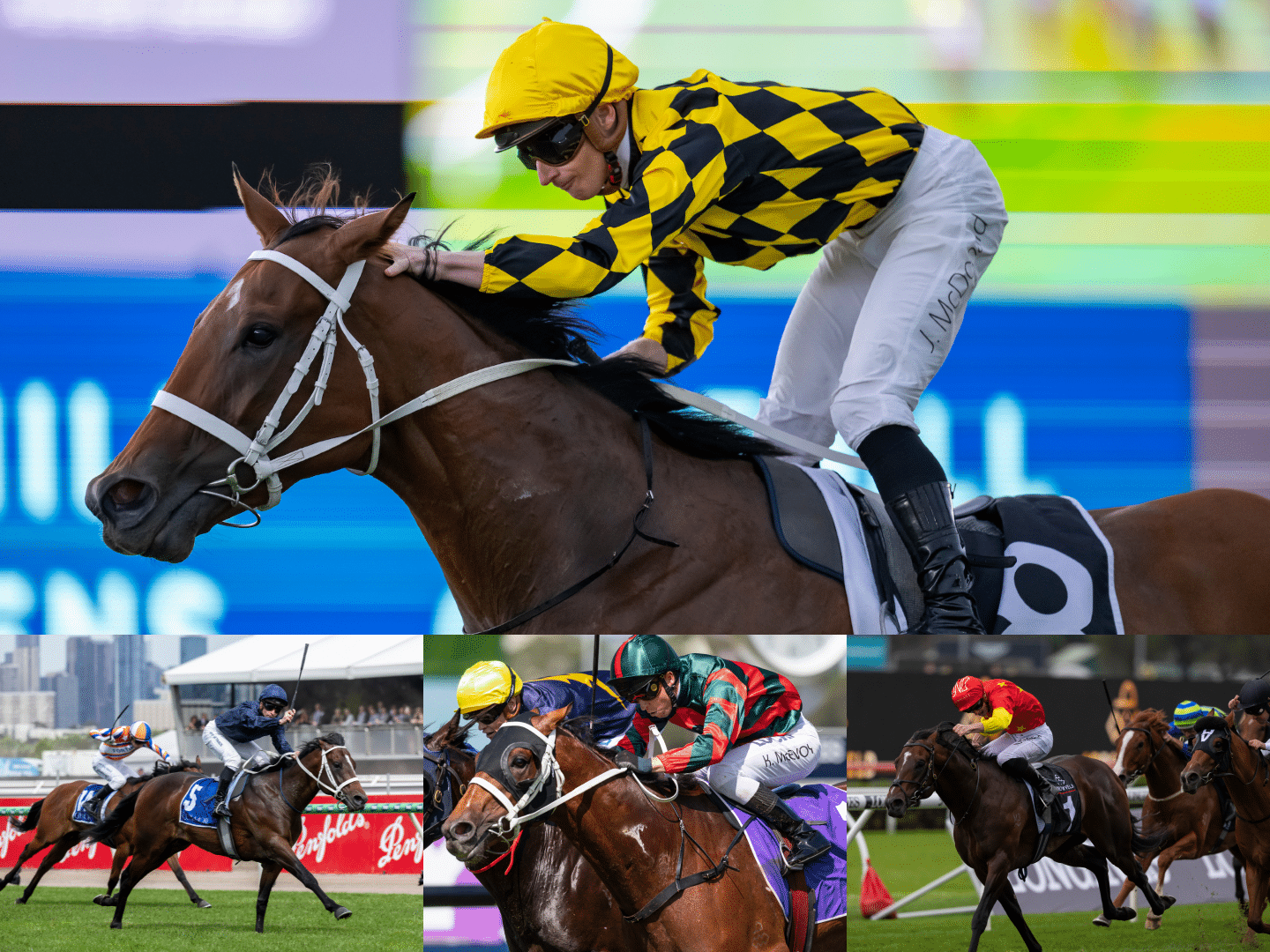 Run The Numbers Run The Numbers – International mare influence surges at Australia’s ...