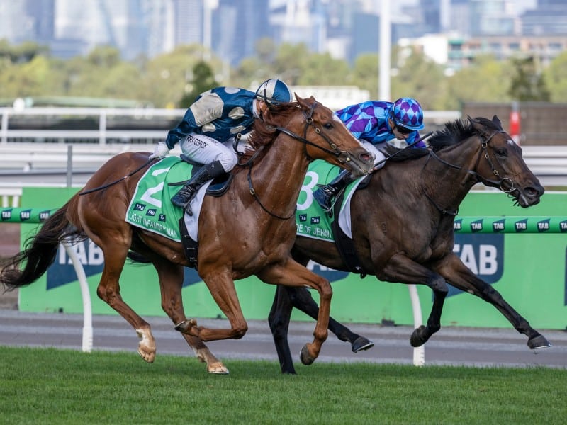 Australian Cup Day at Flemington Racecourse.