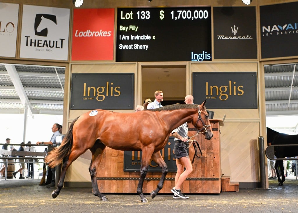 I Am Invincible x Sweet Sherry