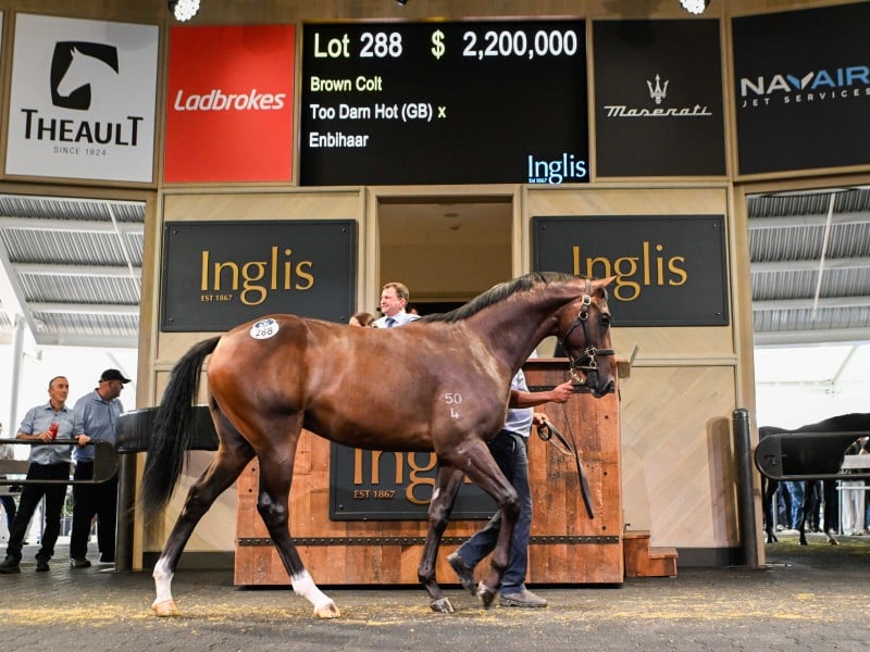 Too Darn Hot - Enbihaar