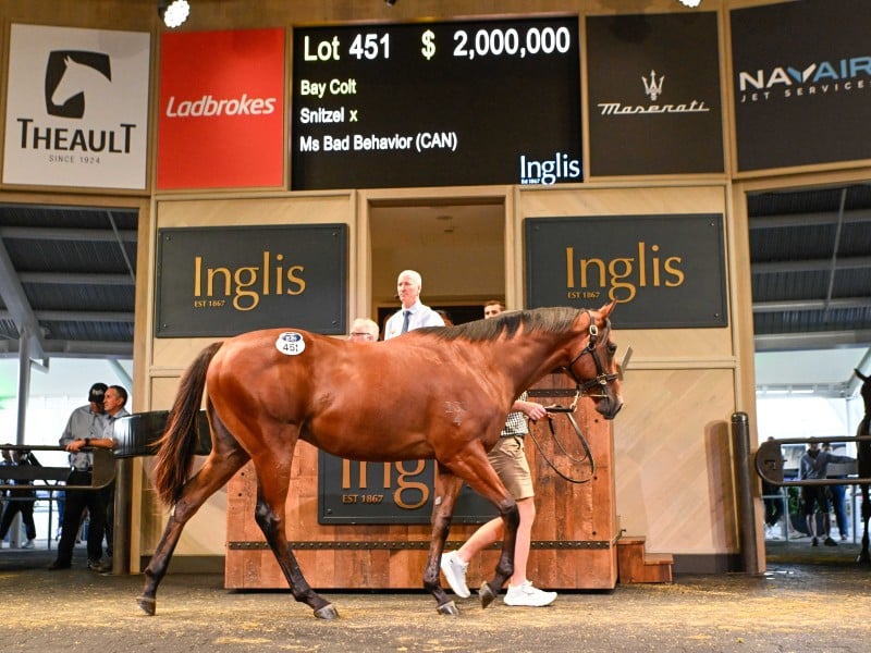 Snitzel x Ms Bad Behavior $2,000,000