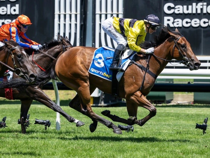 Streisand winning the Blue Diamond Stakes. (Photo: The Image is Everything - Bronwen Healy Photography)
