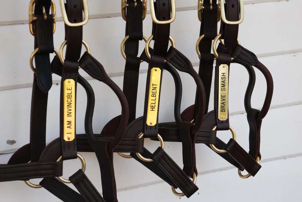 Yarraman Park stallion roster