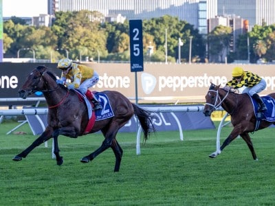 The Championships - Sir Delius