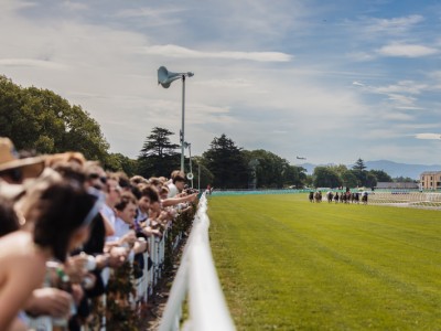 New Zealand racing