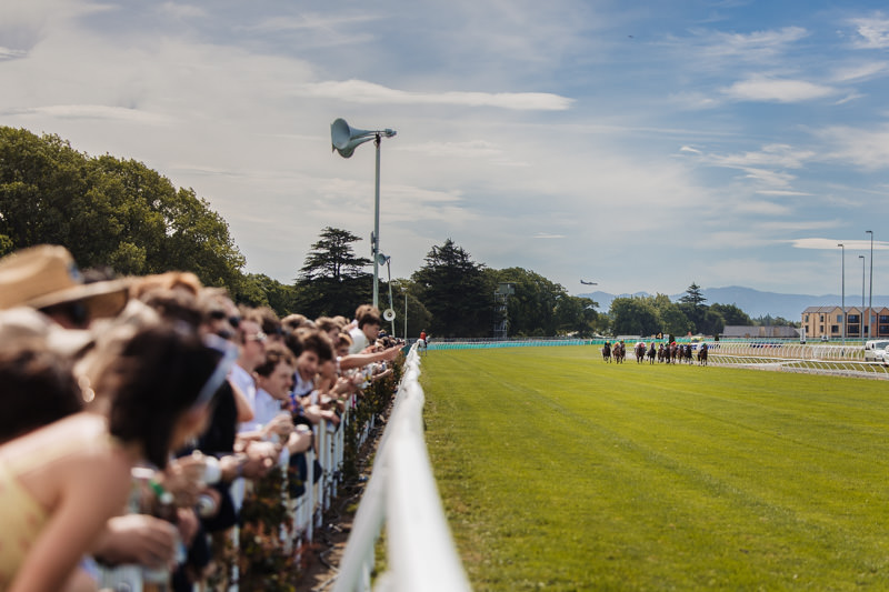 New Zealand racing