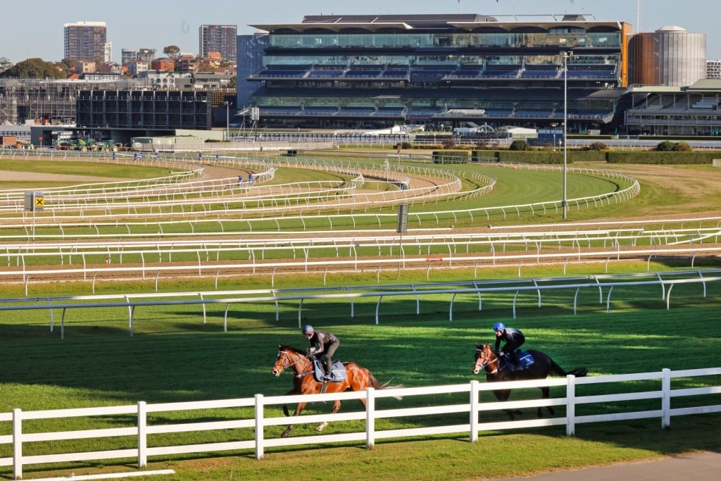 Randwick racecourse