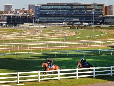Randwick racecourse