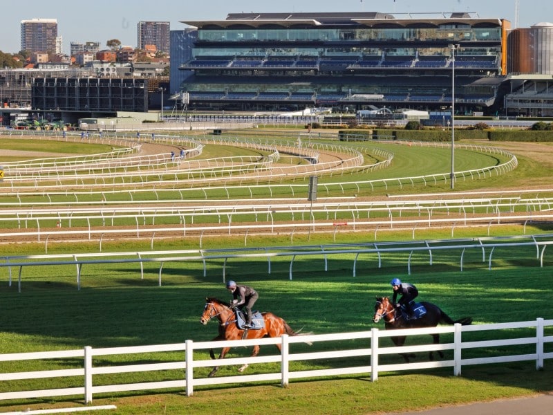 Randwick racecourse
