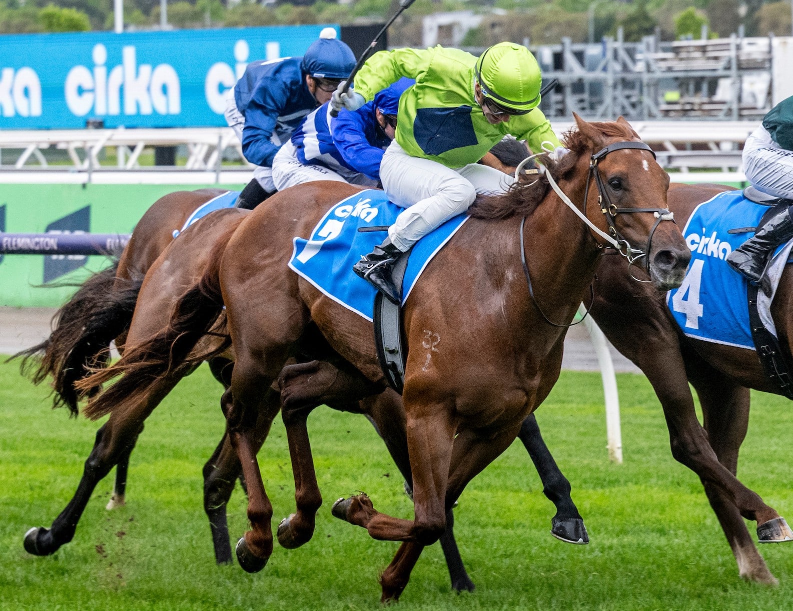High interest but scant detail as stallion prospect Reserve Bank sells via Bull Ring – The Straight