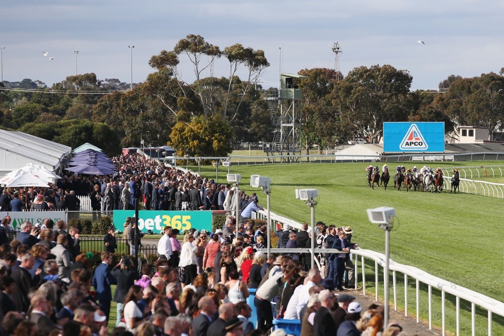 Geelong Cup
