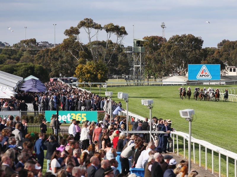 Geelong Cup