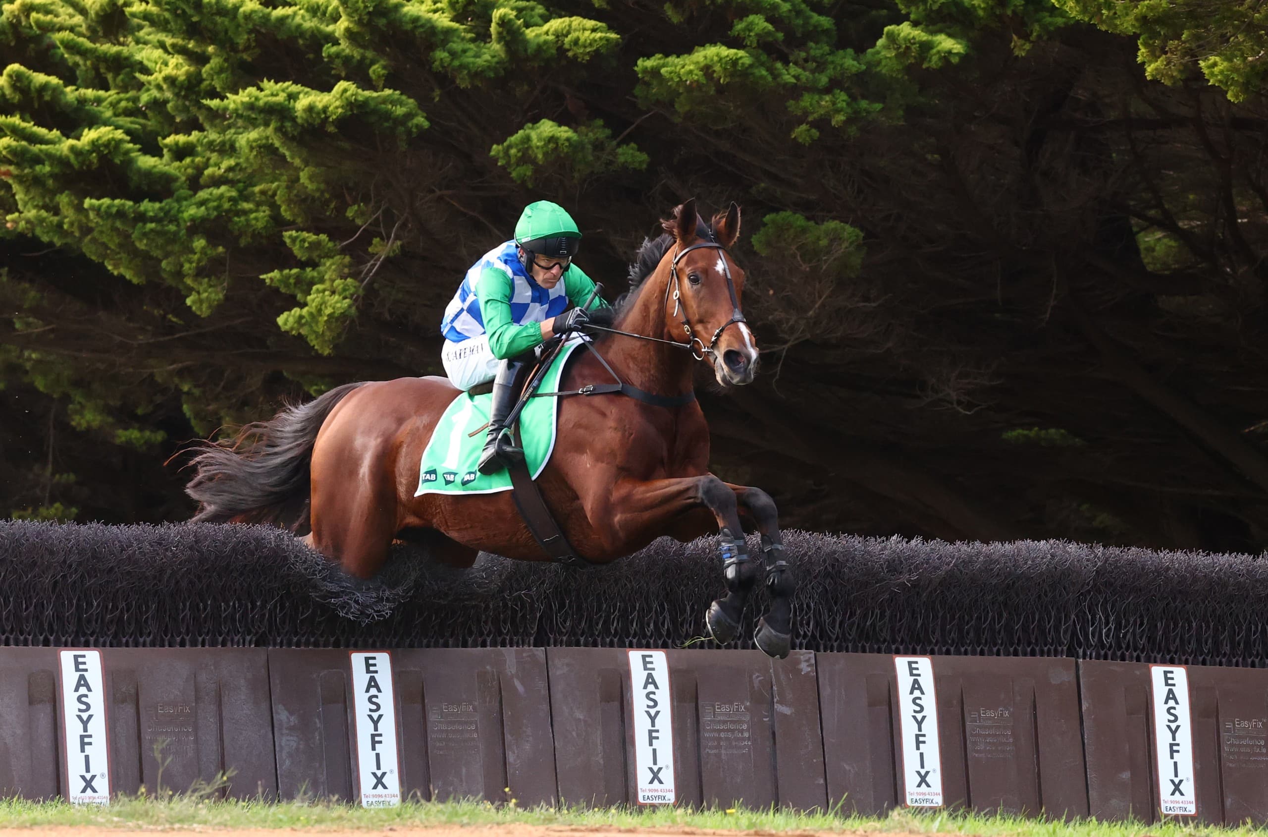A one-horse race: Jumps feature scrapped after rivals scared away