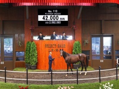 Lot 110