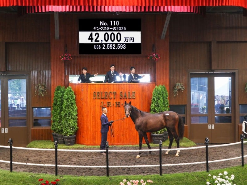 Lot 110
