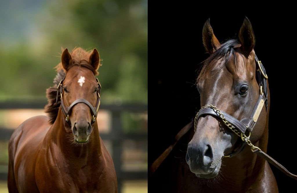 Capitalist and Zoustar