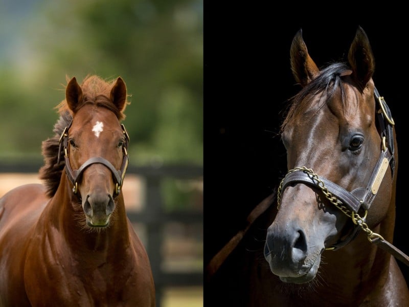 Capitalist and Zoustar