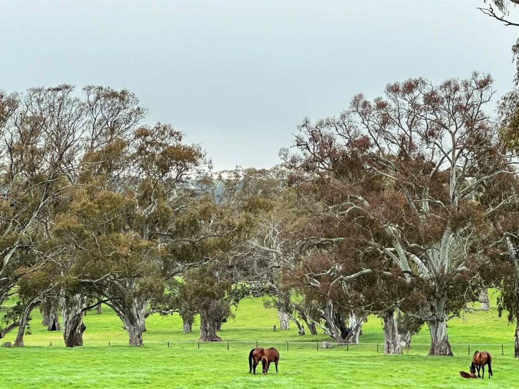 Cornerstone Stud