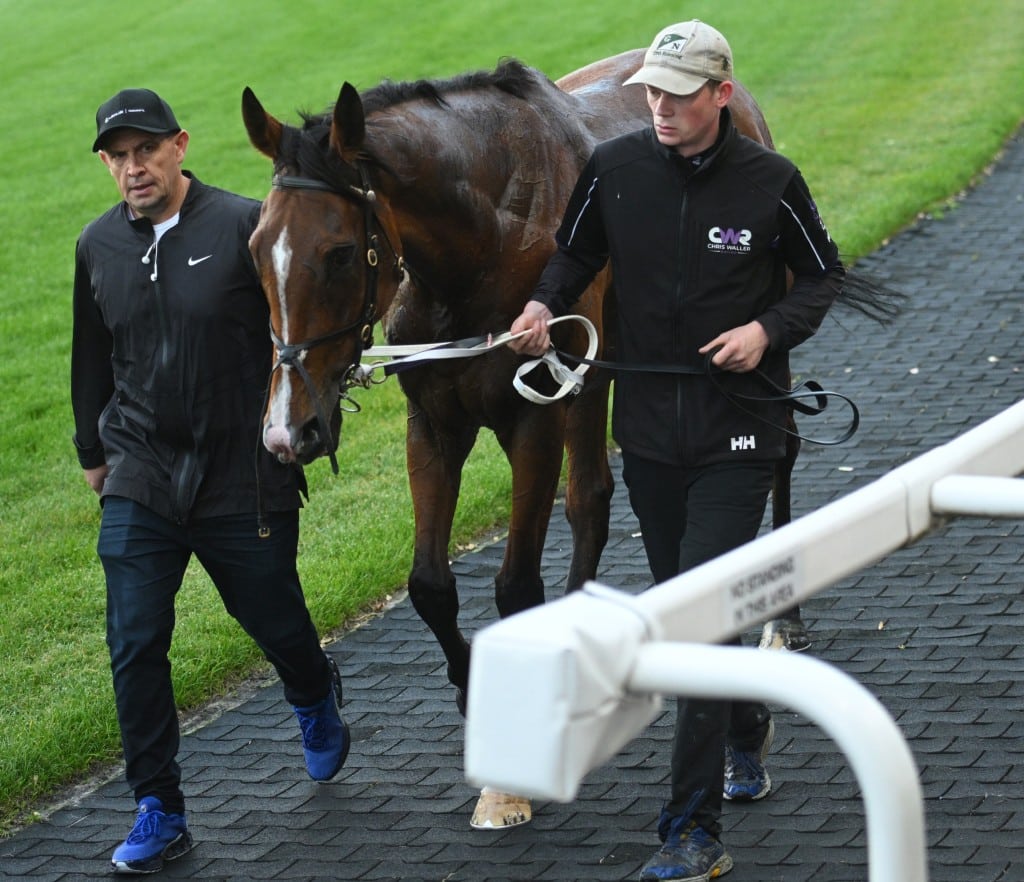 Chris Waller