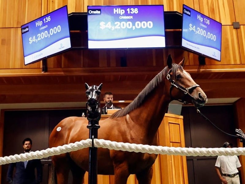 Fasig-Tipton