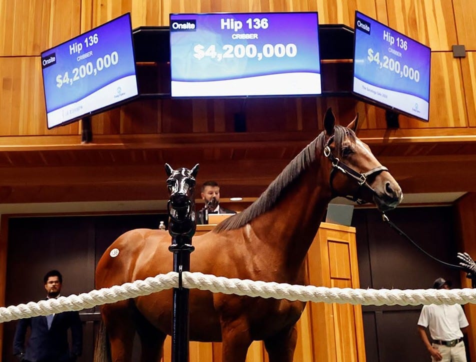 Fasig-Tipton