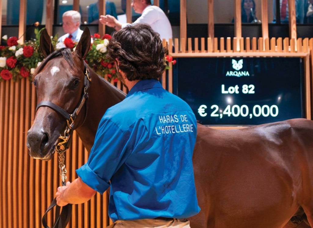 Arqana