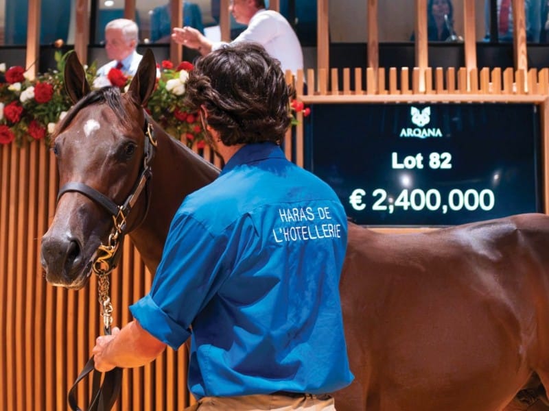 Arqana