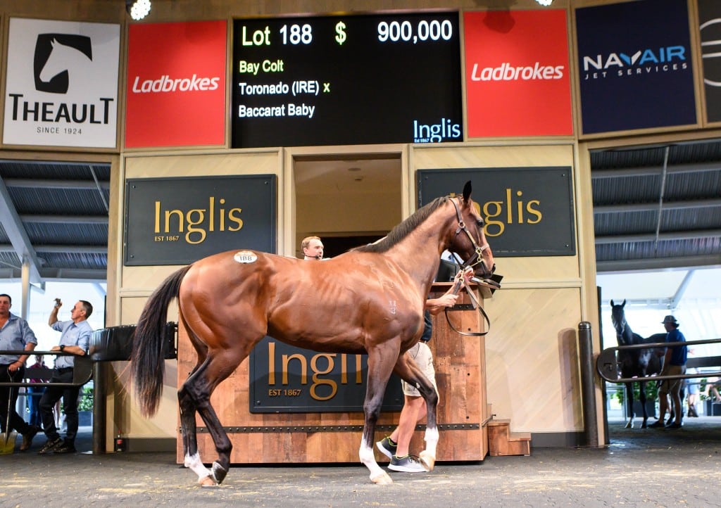 Inglis Ready 2 Race