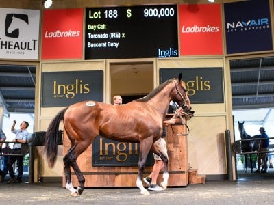 Inglis Ready 2 Race