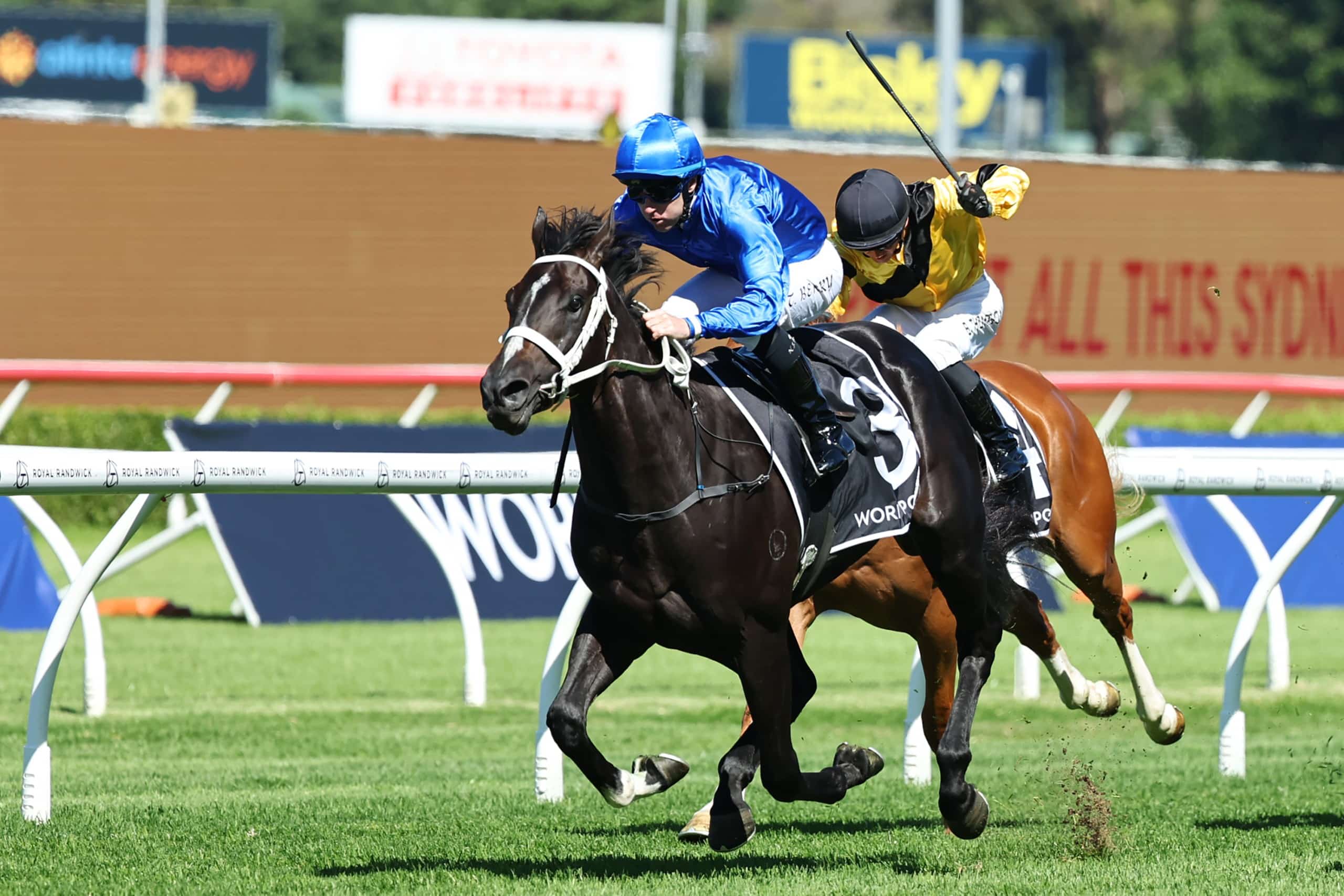 Godolphin waiting for next up-and-coming horses to emerge