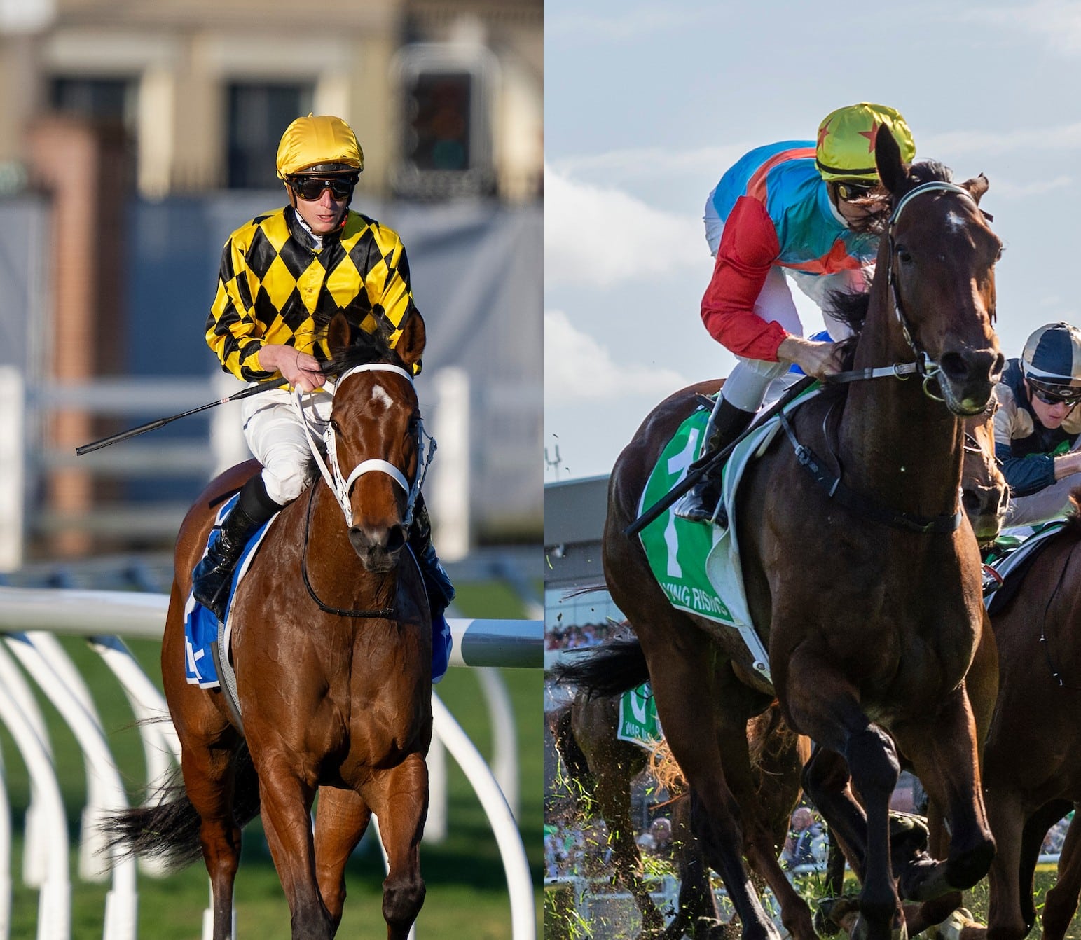 Messara answers Hayes’ Autumn Glow match race call – The Straight