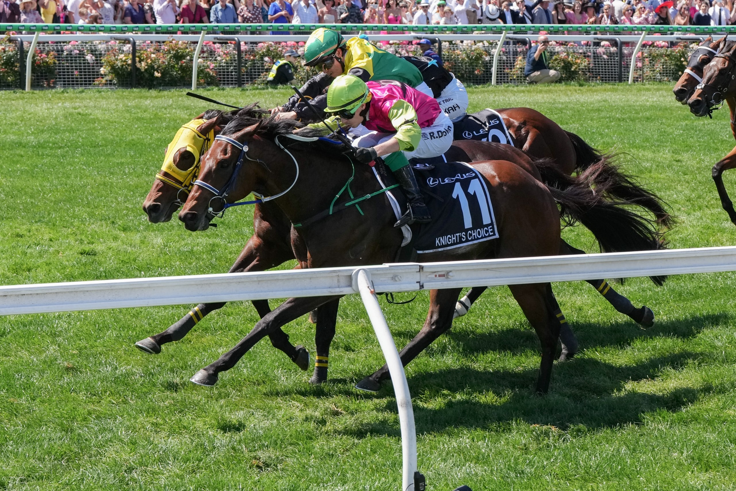 Knight's Choice finds home at Ballarat as Dixon defends Macedon Lodge change